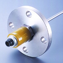 Option-5: Probe with Flange  or Ferrule